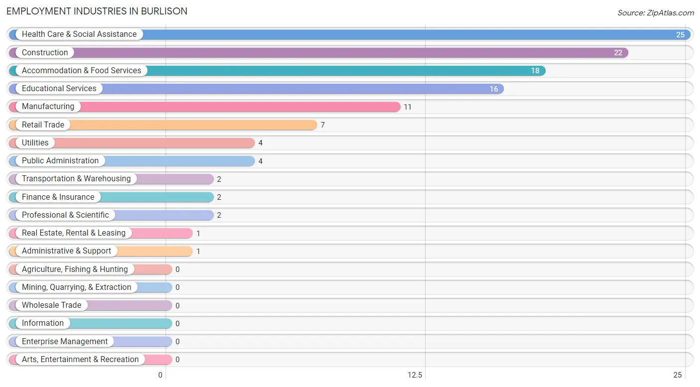 Employment Industries in Burlison