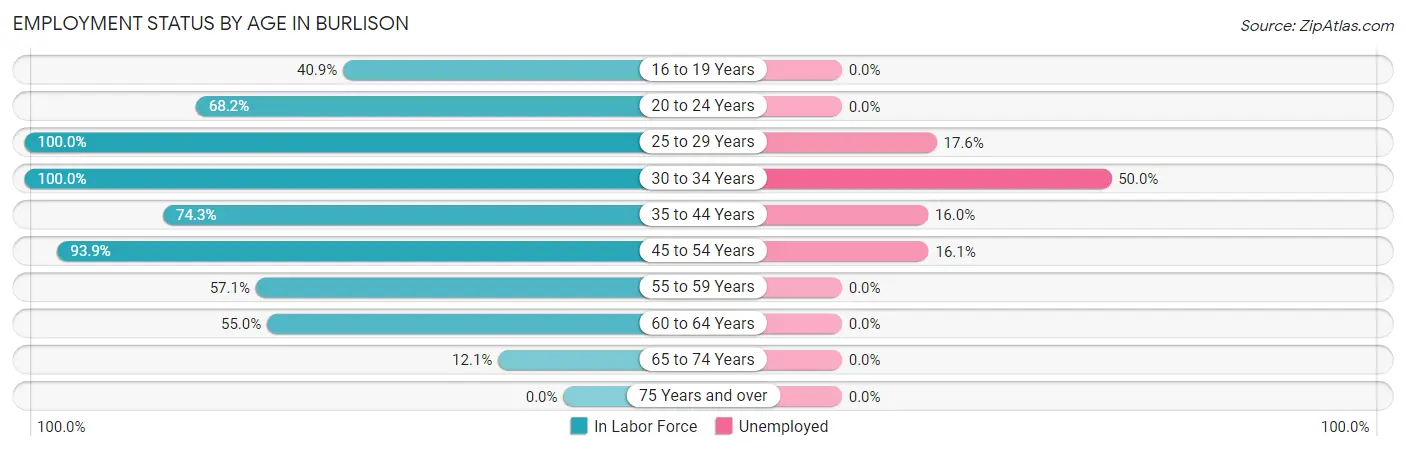 Employment Status by Age in Burlison