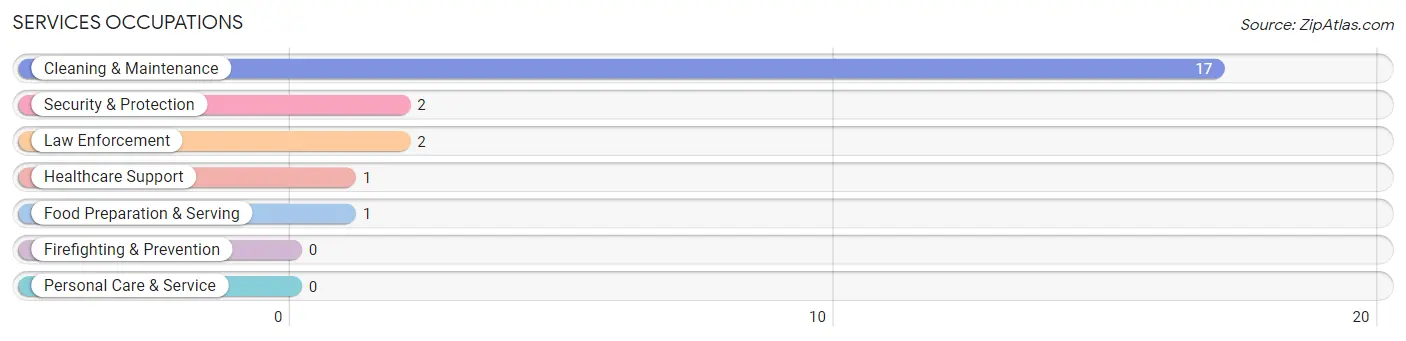 Services Occupations in Cedar Hill