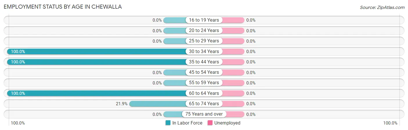 Employment Status by Age in Chewalla
