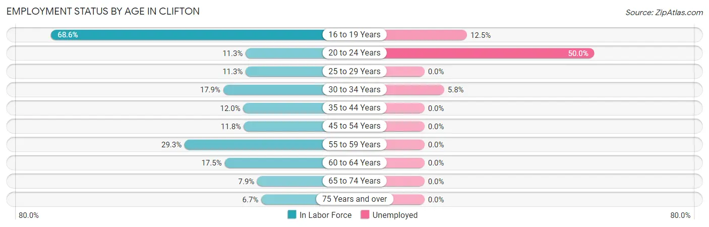 Employment Status by Age in Clifton