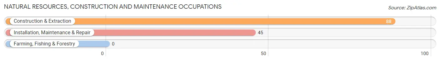 Natural Resources, Construction and Maintenance Occupations in Colonial Heights