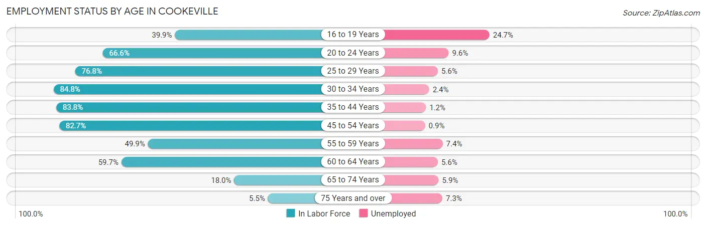Employment Status by Age in Cookeville
