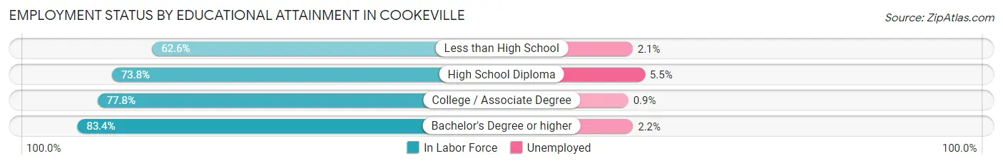 Employment Status by Educational Attainment in Cookeville