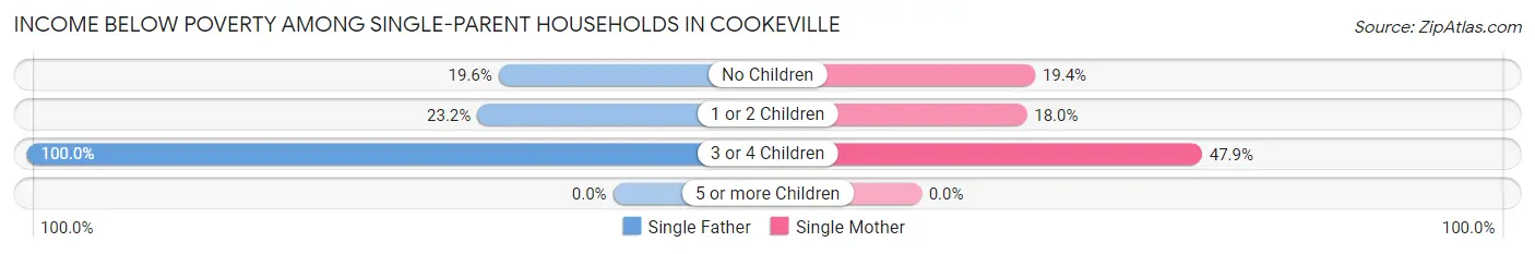 Income Below Poverty Among Single-Parent Households in Cookeville