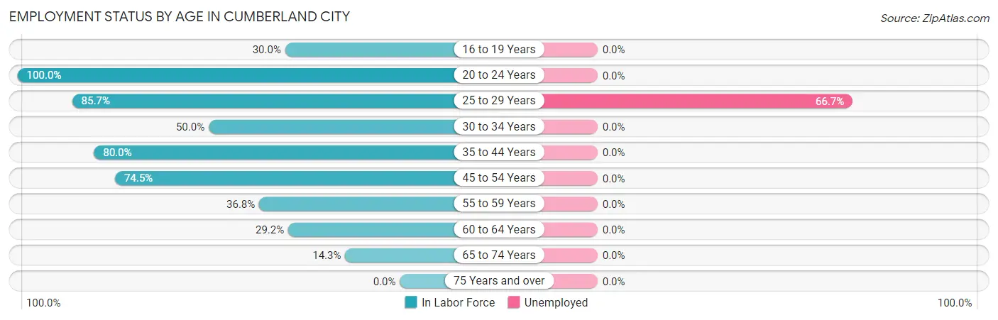 Employment Status by Age in Cumberland City