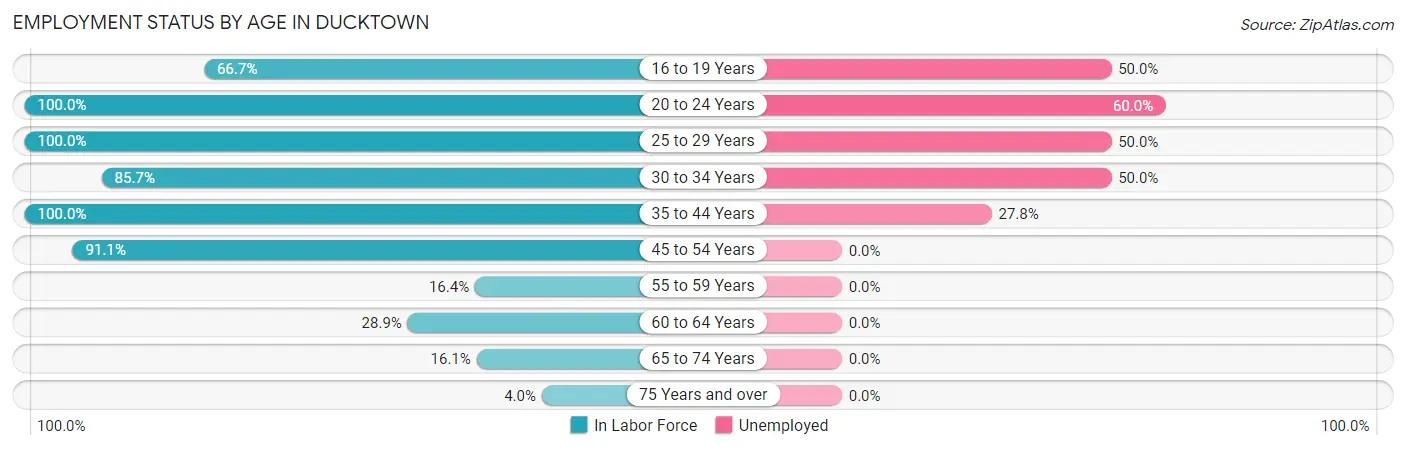 Employment Status by Age in Ducktown