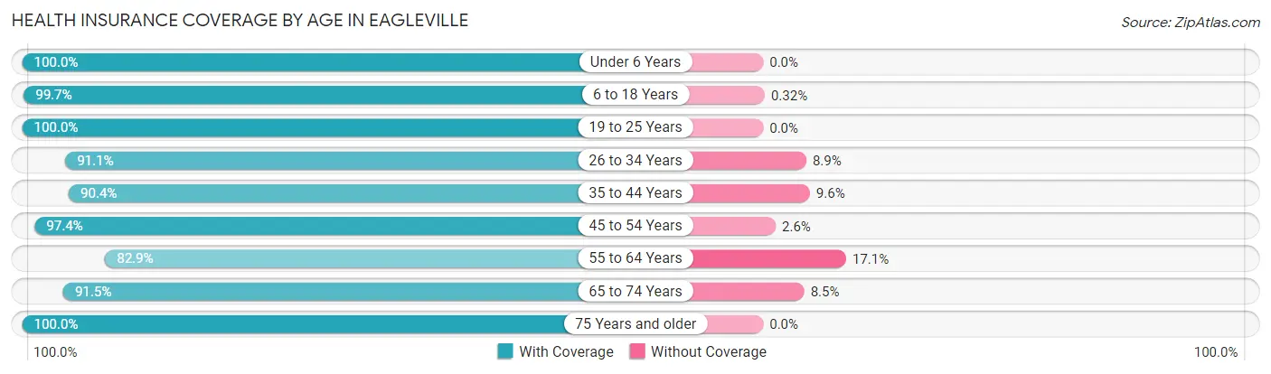 Health Insurance Coverage by Age in Eagleville