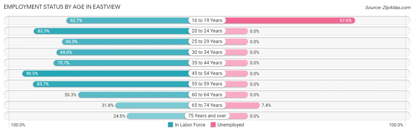 Employment Status by Age in Eastview