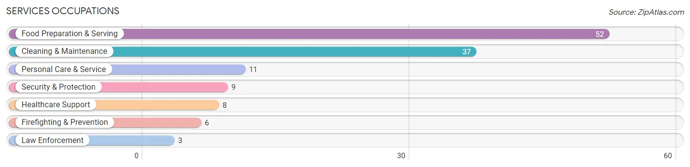 Services Occupations in Englewood