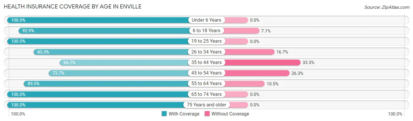 Health Insurance Coverage by Age in Enville