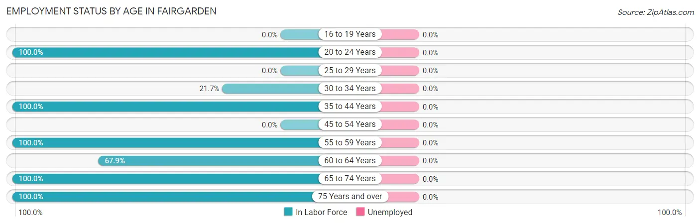 Employment Status by Age in Fairgarden