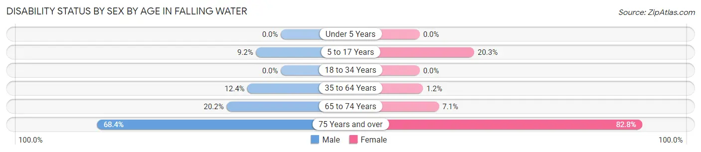 Disability Status by Sex by Age in Falling Water