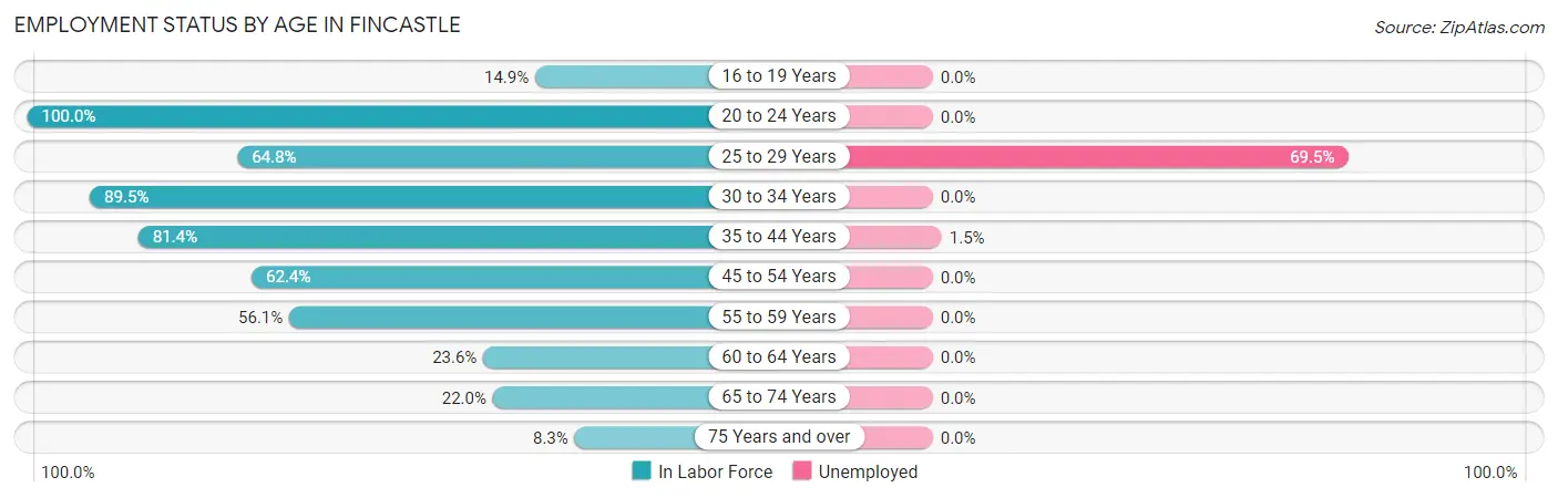 Employment Status by Age in Fincastle