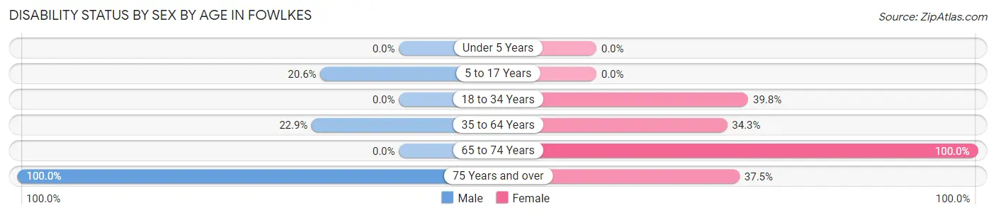 Disability Status by Sex by Age in Fowlkes