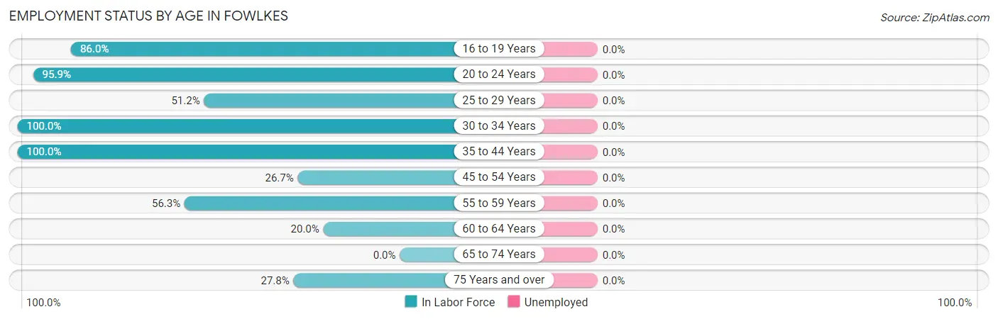 Employment Status by Age in Fowlkes