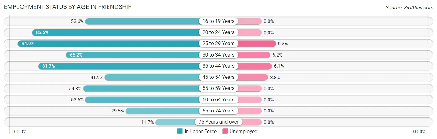 Employment Status by Age in Friendship