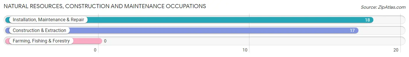 Natural Resources, Construction and Maintenance Occupations in Friendship