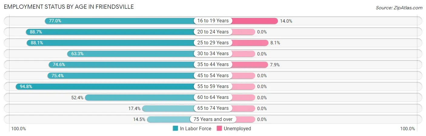 Employment Status by Age in Friendsville