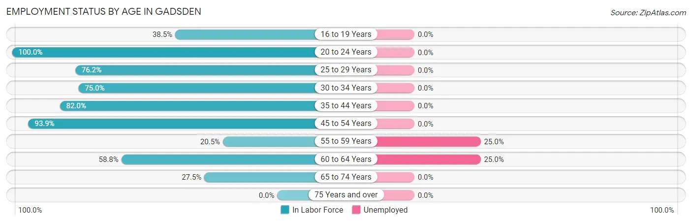 Employment Status by Age in Gadsden