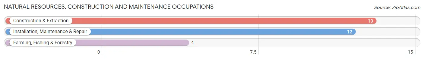 Natural Resources, Construction and Maintenance Occupations in Gainesboro