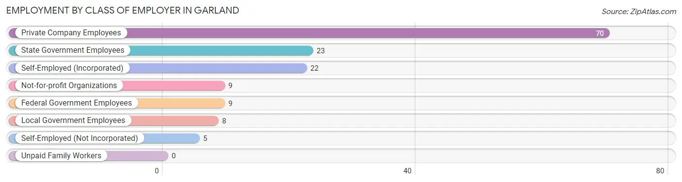 Employment by Class of Employer in Garland