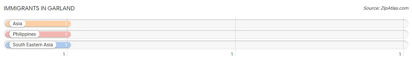 Immigrants in Garland
