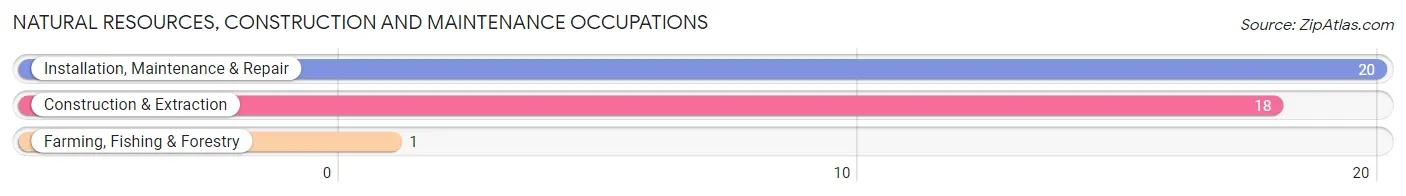 Natural Resources, Construction and Maintenance Occupations in Garland