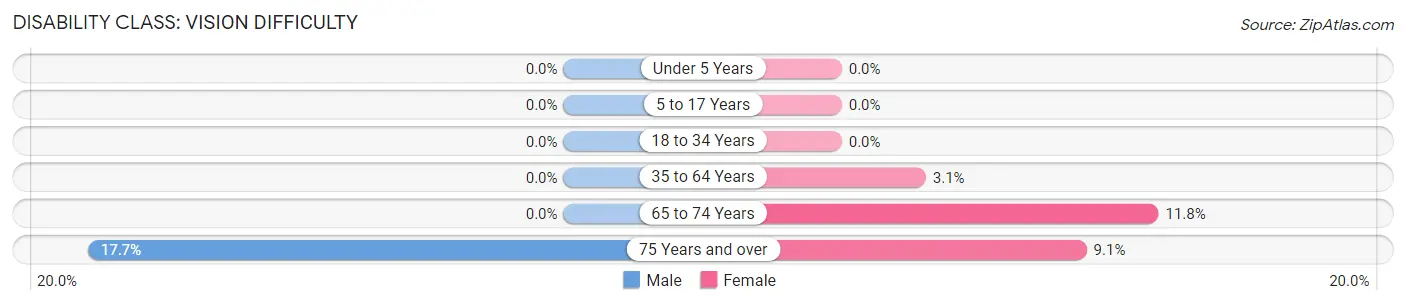 Disability in Garland: <span>Vision Difficulty</span>