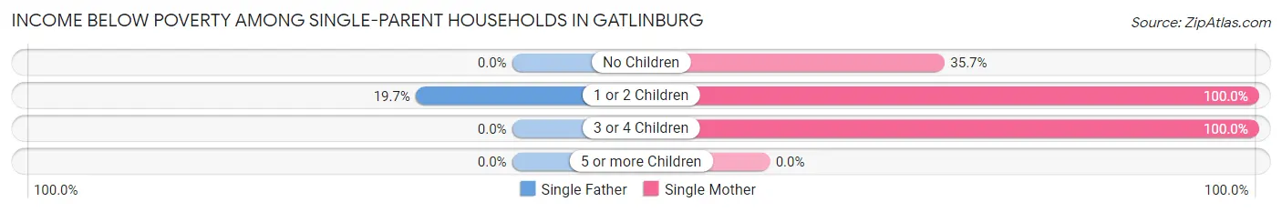 Income Below Poverty Among Single-Parent Households in Gatlinburg