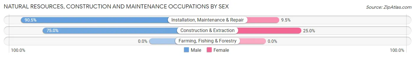 Natural Resources, Construction and Maintenance Occupations by Sex in Gilt Edge