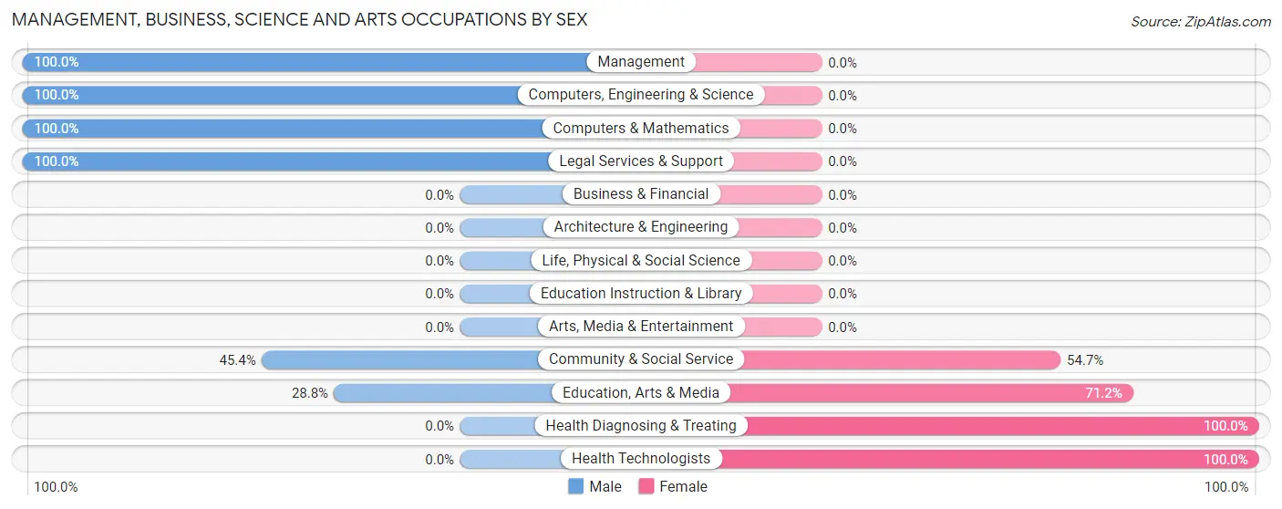 Management, Business, Science and Arts Occupations by Sex in Gray