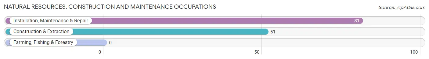 Natural Resources, Construction and Maintenance Occupations in Green Hill