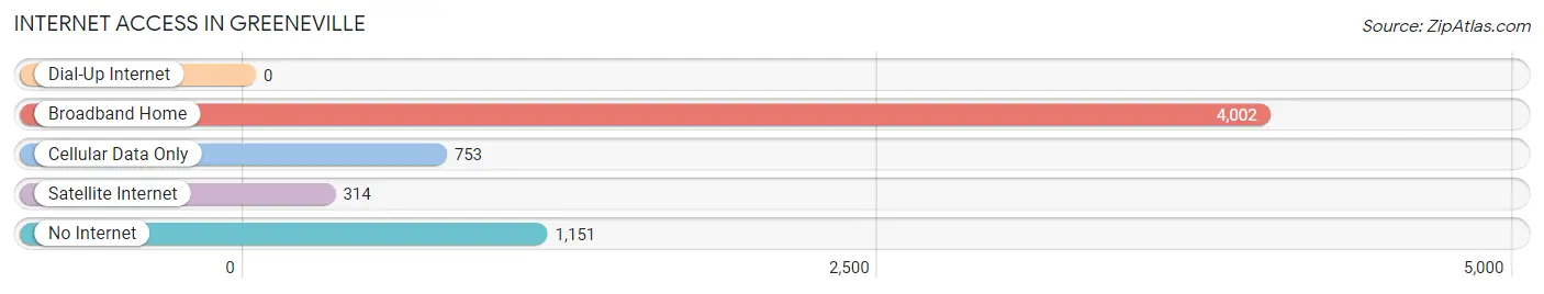 Internet Access in Greeneville