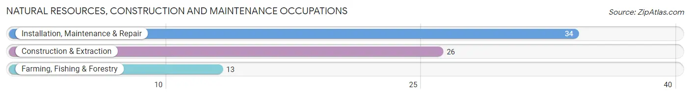 Natural Resources, Construction and Maintenance Occupations in Gruetli Laager