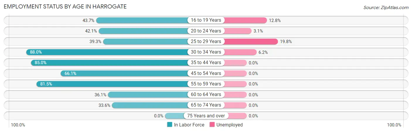 Employment Status by Age in Harrogate
