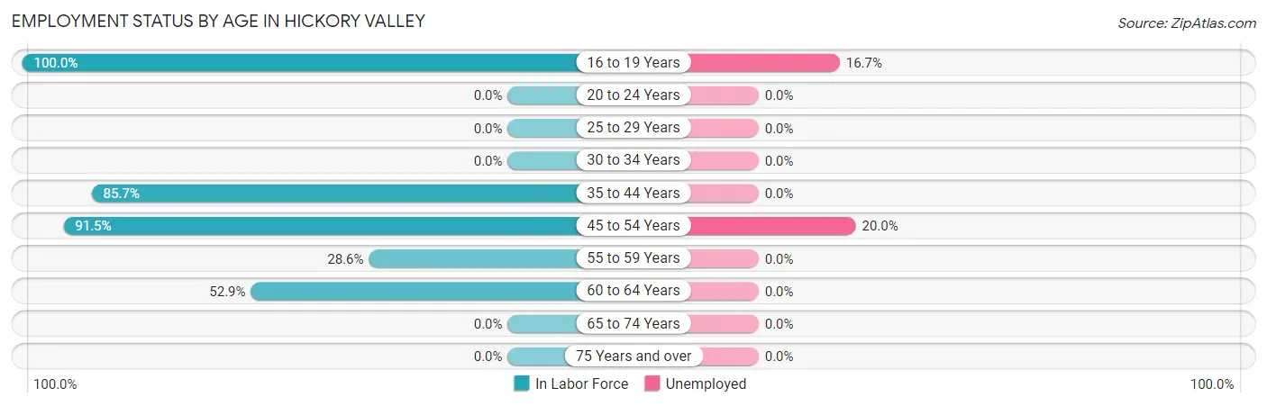 Employment Status by Age in Hickory Valley