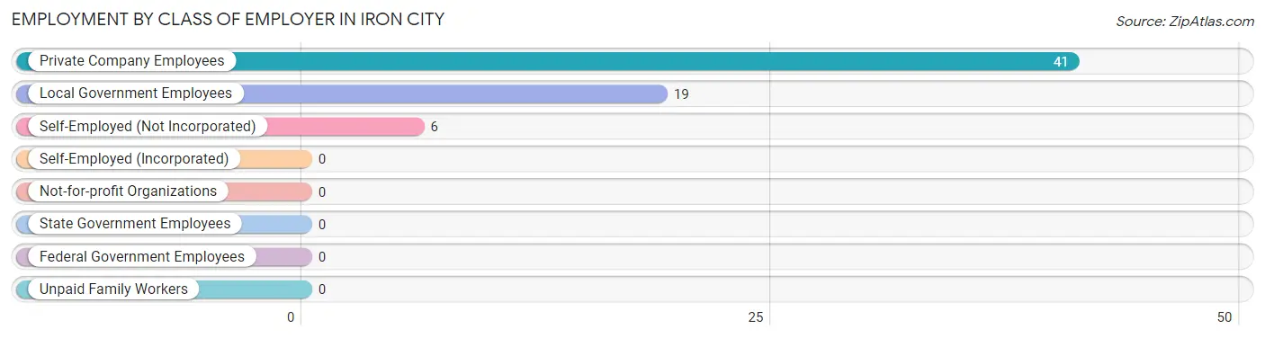 Employment by Class of Employer in Iron City