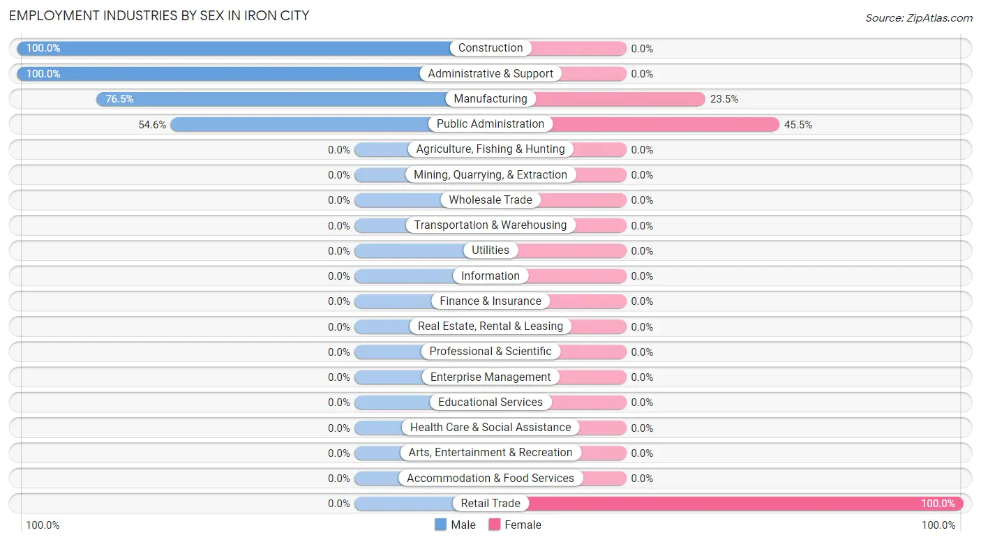 Employment Industries by Sex in Iron City