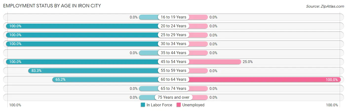 Employment Status by Age in Iron City
