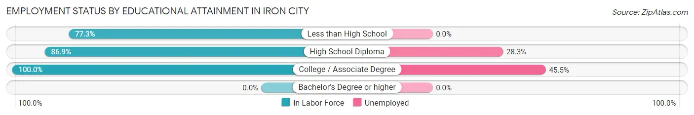 Employment Status by Educational Attainment in Iron City