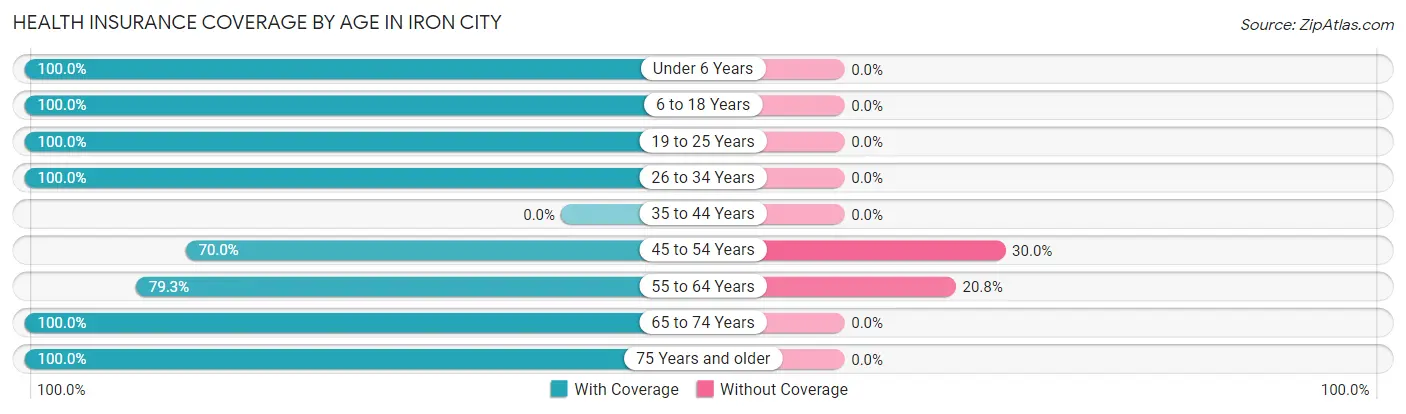 Health Insurance Coverage by Age in Iron City