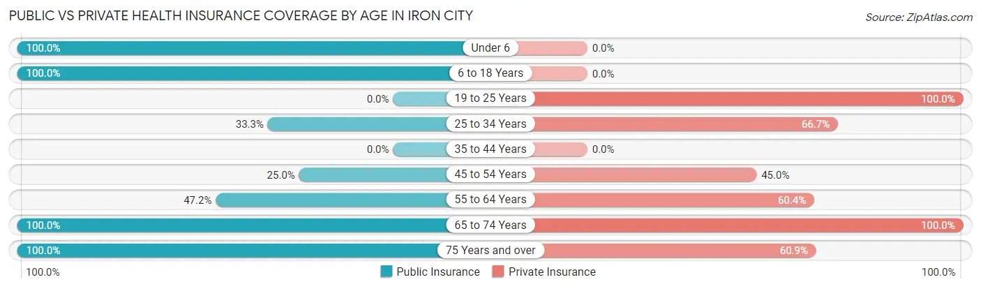 Public vs Private Health Insurance Coverage by Age in Iron City