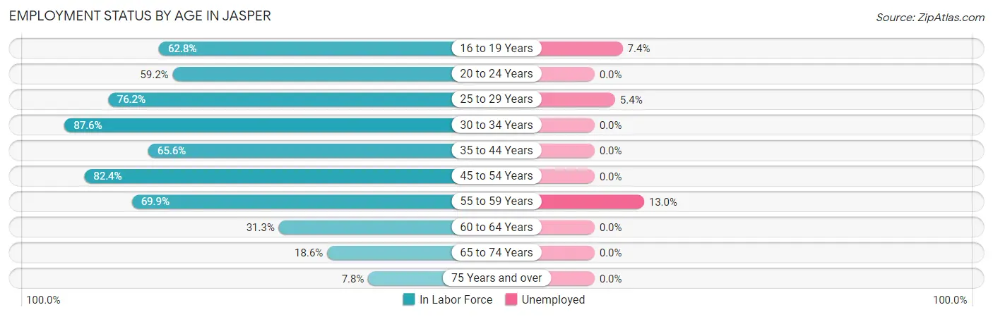 Employment Status by Age in Jasper