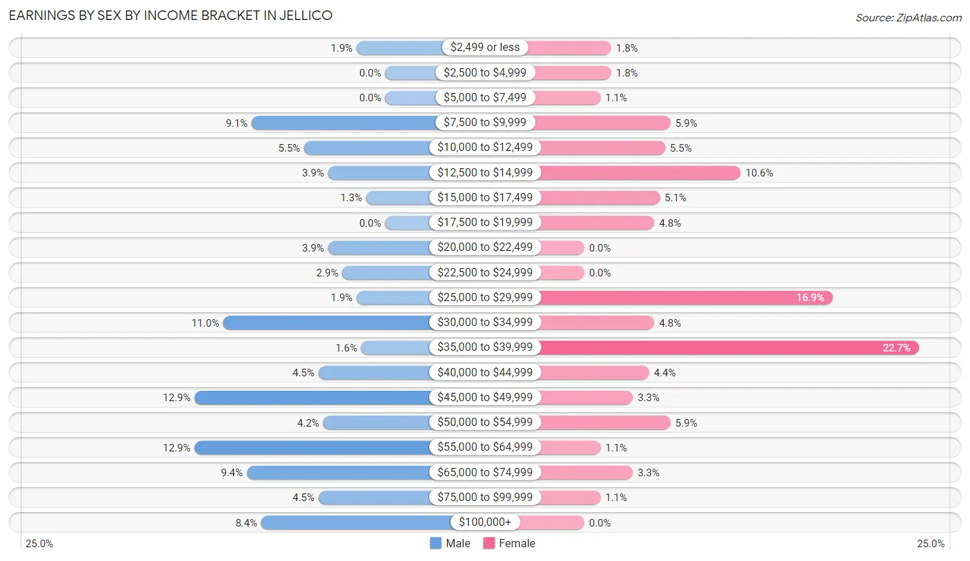 Earnings by Sex by Income Bracket in Jellico