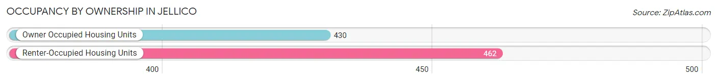 Occupancy by Ownership in Jellico