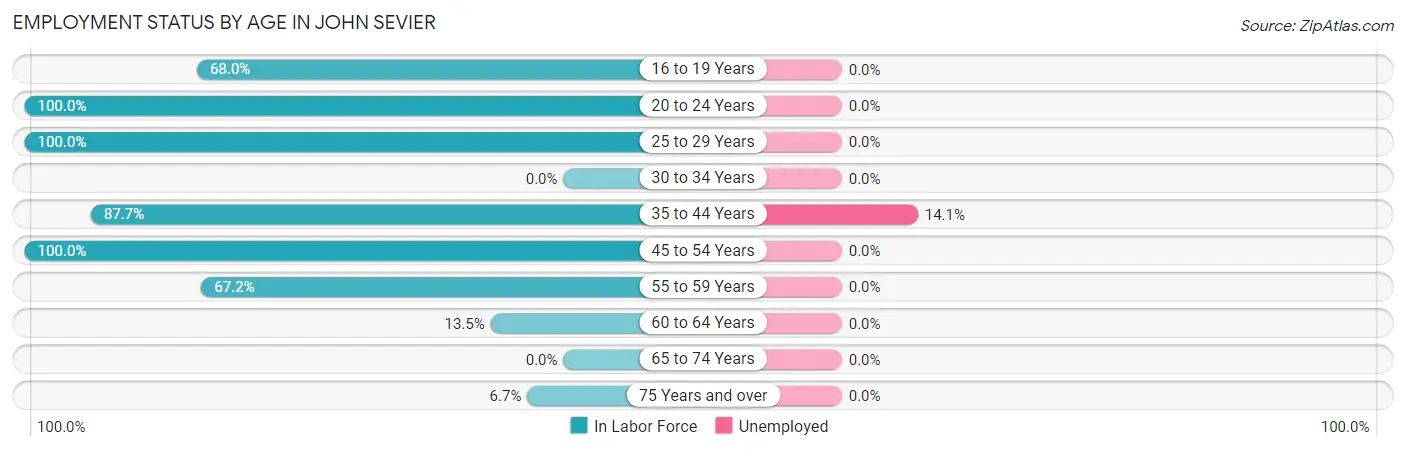 Employment Status by Age in John Sevier