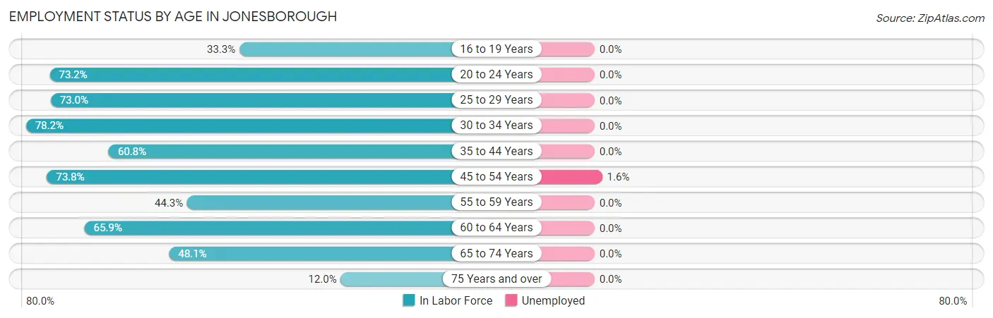 Employment Status by Age in Jonesborough