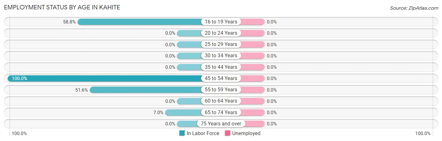 Employment Status by Age in Kahite