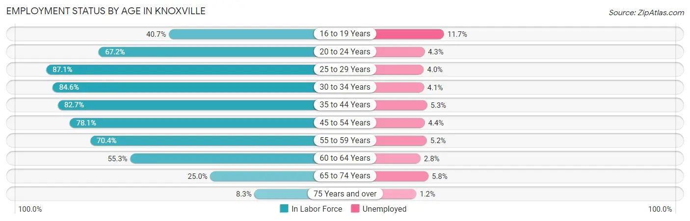 Employment Status by Age in Knoxville